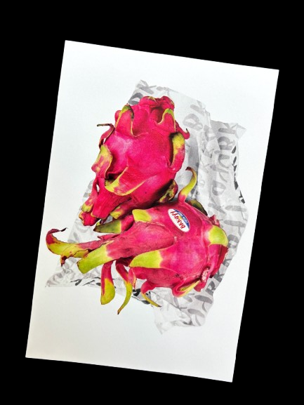 Postkarte | Dragonfruit Delight