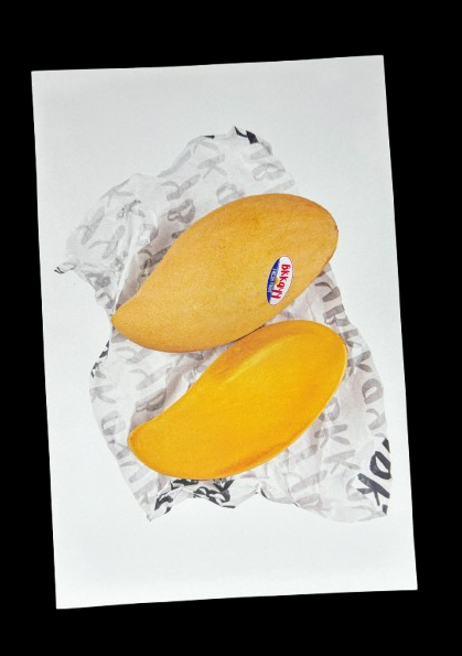 Postkarte | Mango Madness