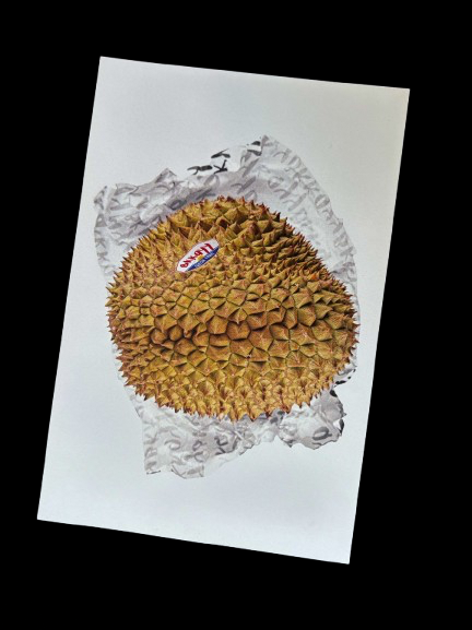 Postkarte | Durian Drama