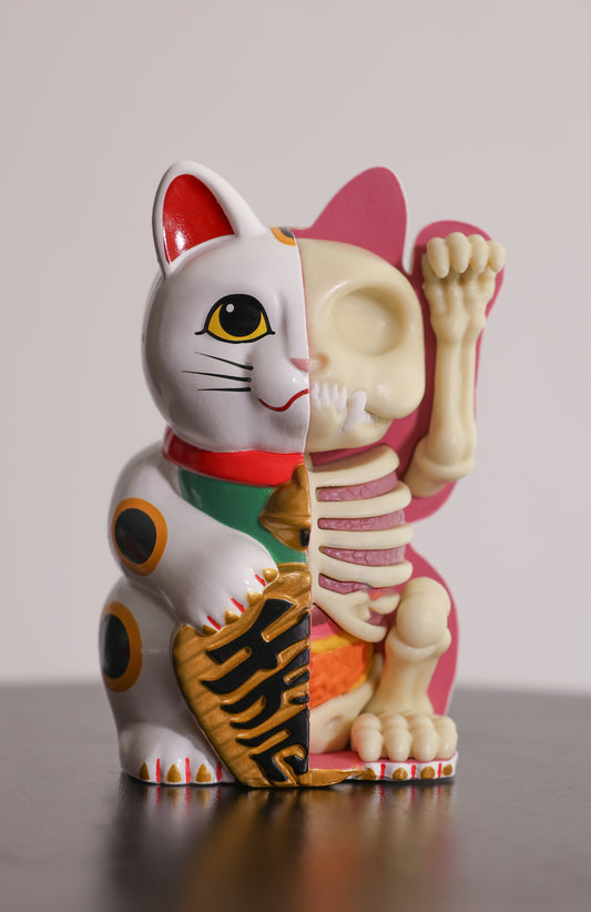 Dekofigur | Lucky Cat Anatomie